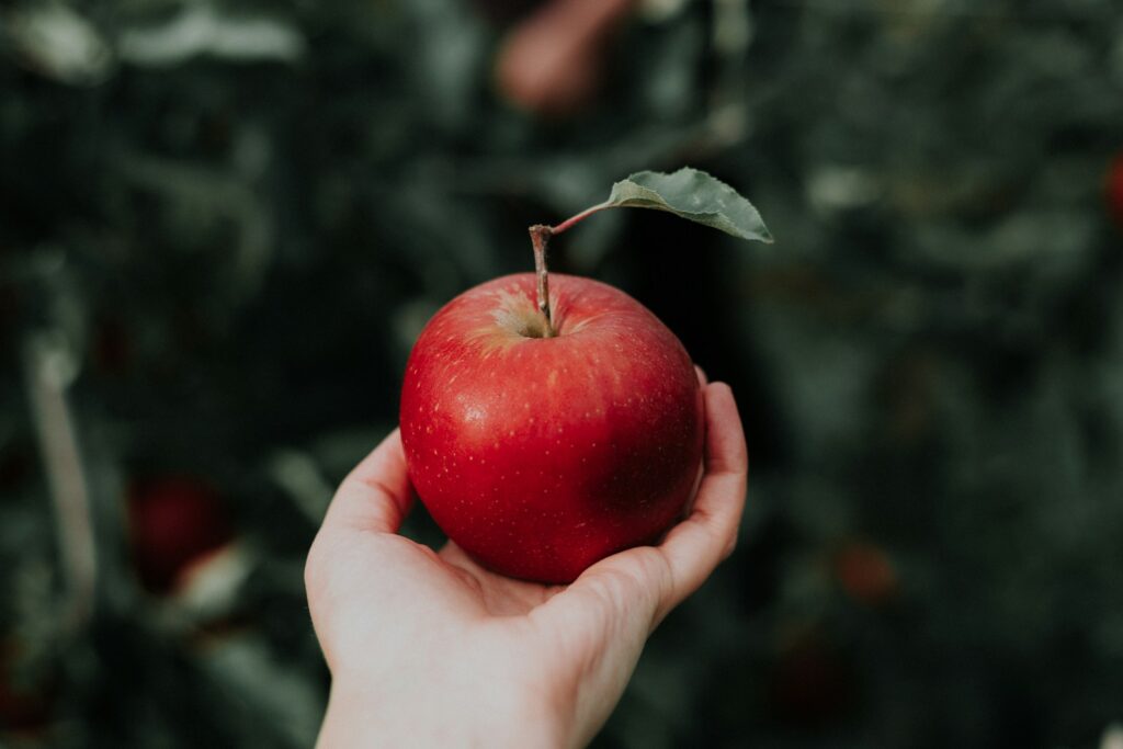 Een hand houdt een felrode appel vast met een klein groen blaadje aan de steel. De achtergrond is gevuld met wazig groen gebladerte, wat doet denken aan een boomgaard.