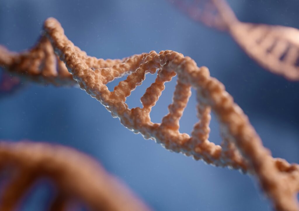 Een gedetailleerde 3D-weergave van een dubbele DNA-helix wordt getoond tegen een blauwe achtergrond. De strengen lijken gedraaid en ingewikkeld gestructureerd, wat de karakteristieke ladderachtige eigenschap van het DNA-molecuul benadrukt.