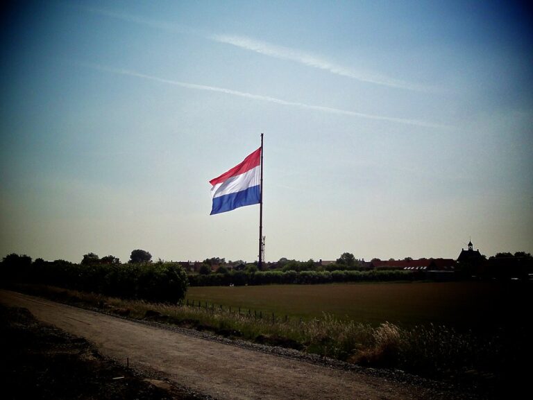 Een grote rood-wit-blauw gestreepte vlag hangt halfstok aan een hoge vlaggenmast in een landelijk gebied, met bomen, struiken en een paar gebouwen op de achtergrond, onder een heldere hemel.